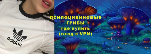 твердый Балахна