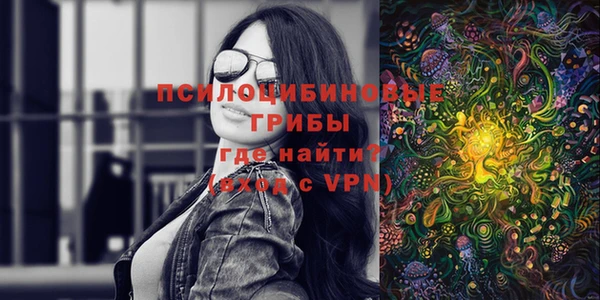 твердый Балахна