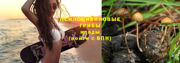 твердый Балахна
